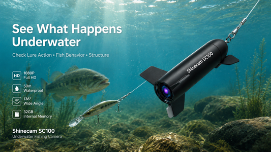 Best Ways to See What Your Lure Looks Like Underwater