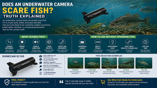 Does an Underwater Camera Scare Fish? Truth Explained
