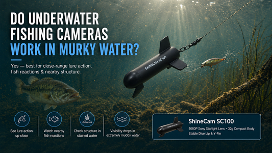 Can You Use an Underwater Fishing Camera in Murky Water? What Anglers Should Know