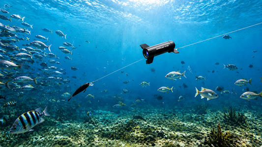 Best Underwater Fishing Camera for Beginners in 2026: A Complete Guide