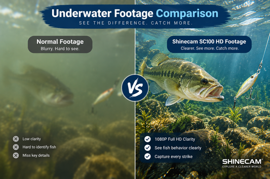 What Resolution Do You Need for a Fishing Camera?