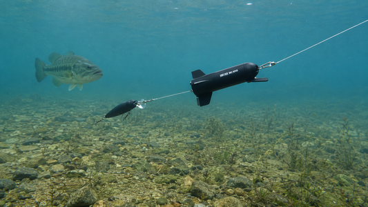 How to Use an Underwater Fishing Camera for Lure Fishing