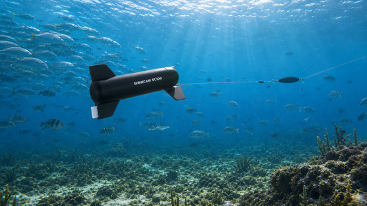 Fishing Camera Underwater: What It Is, How It Works, and Why Anglers Use It