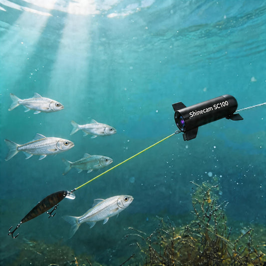 Stop Guessing What's Down There: How the SHINECAM SC100 Changes the Way You Fish