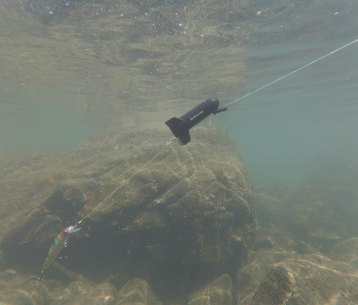 SC100 underwater fishing camera underwater view